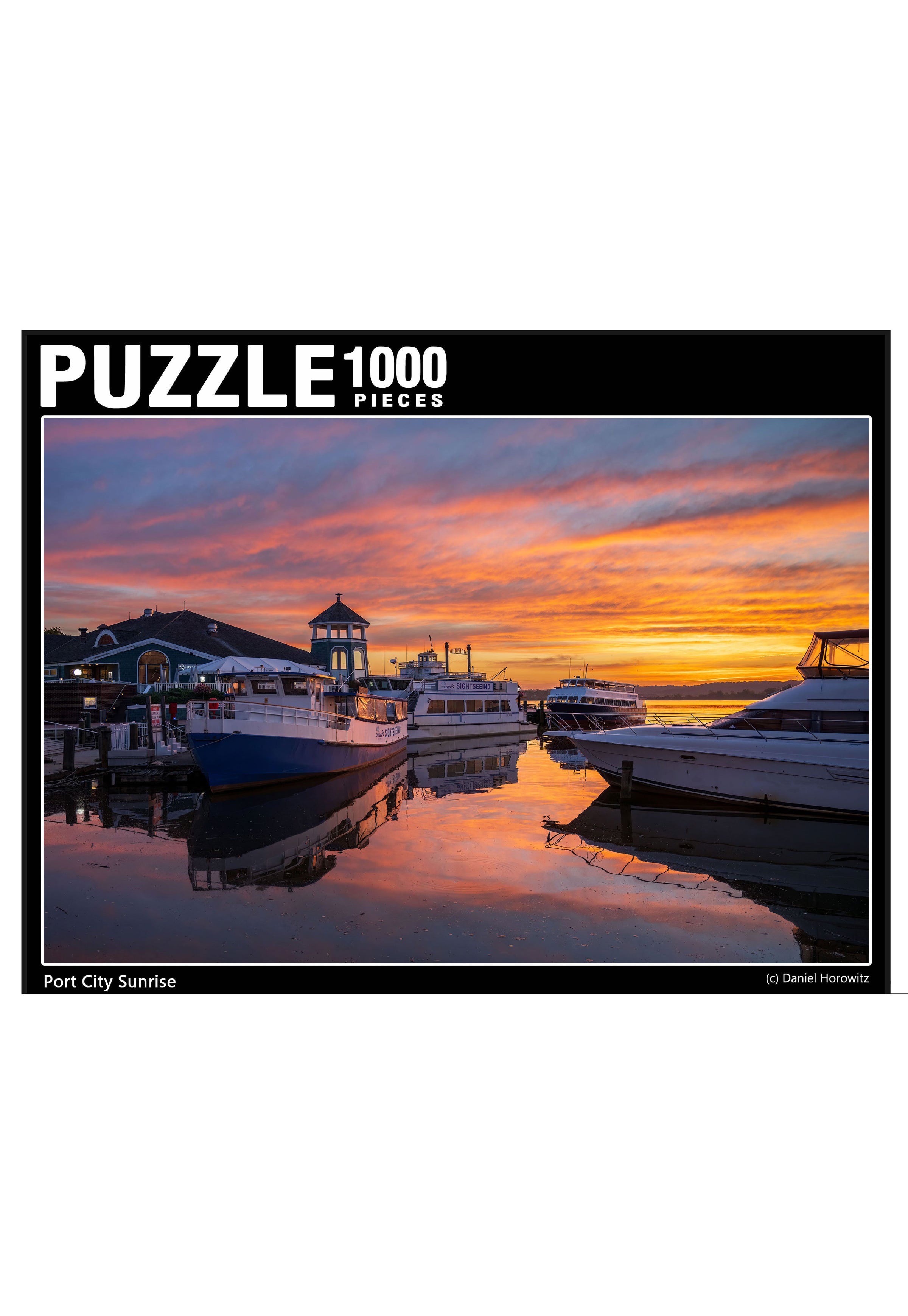 1000-Piece Jigsaw Puzzle | Made In ALX -The Made in Alexandria Store
