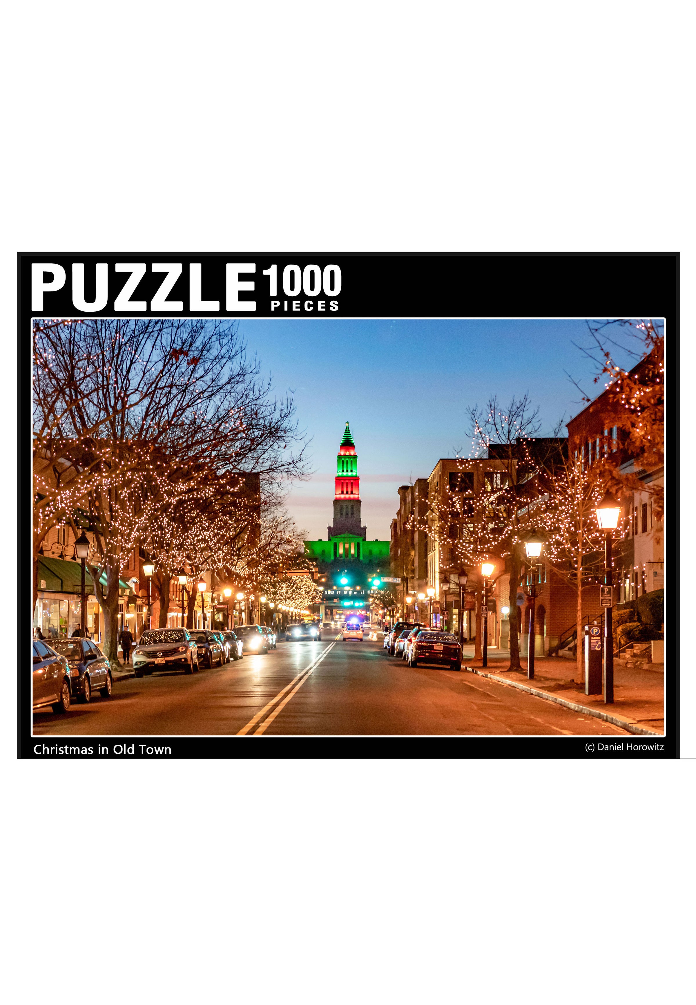 1000-Piece Jigsaw Puzzle | Made In ALX -The Made in Alexandria Store