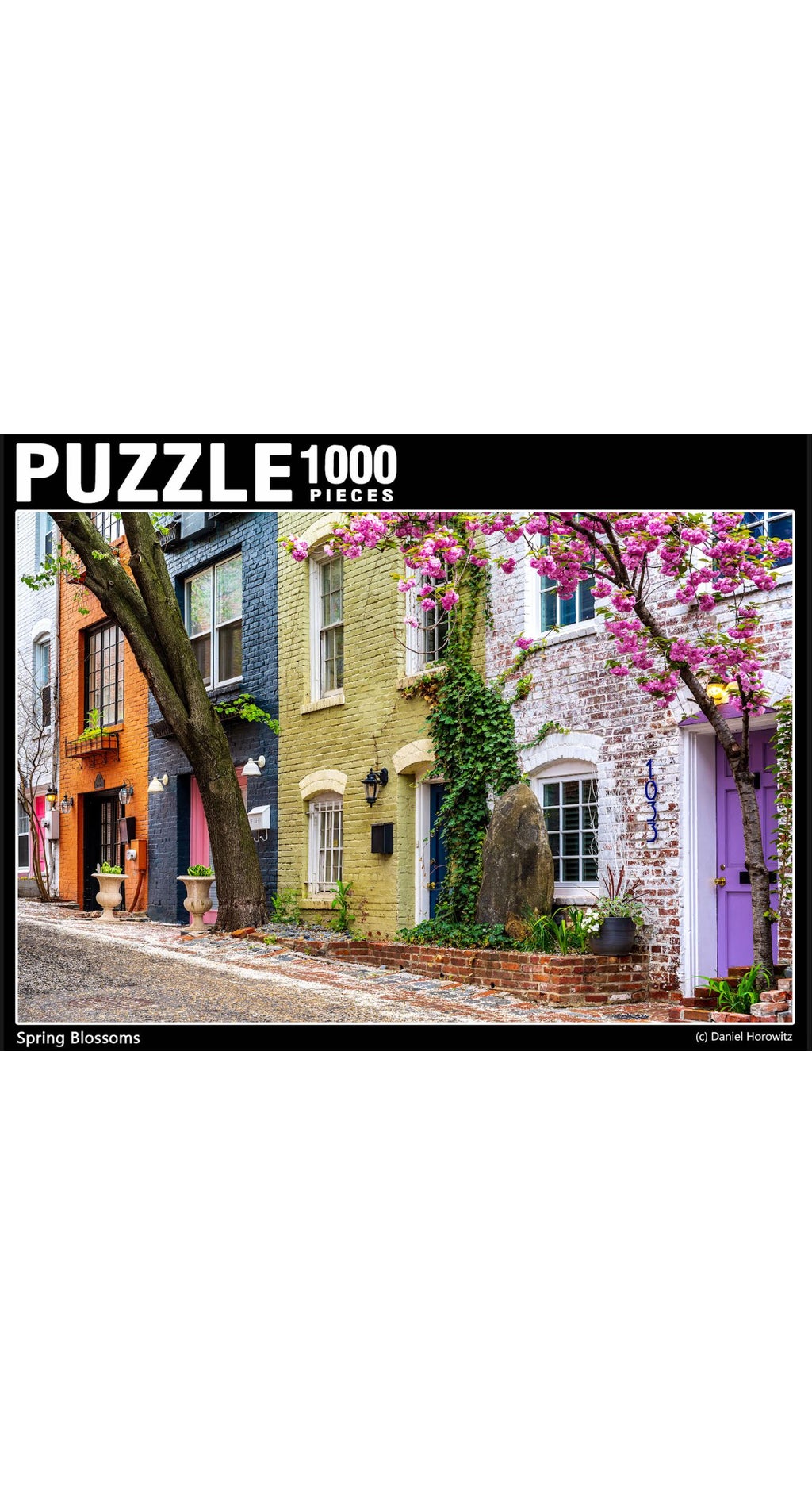 1000-Piece Jigsaw Puzzle | Made In ALX -The Made in Alexandria Store
